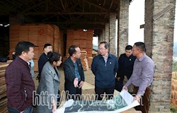 市领导到我县开展村（社区）“两委”换届工作专题调研