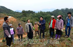 昭平：技术指导员田间地头“传经送宝”