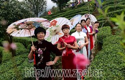 美人“闹”春茶