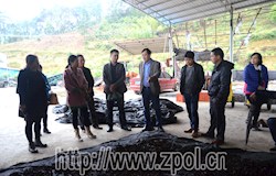 深入调研 找准优劣 助推我县扶贫产业发展