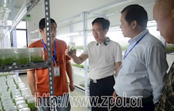 市政协调研组到我县开展民族医药和健康产业专题调研