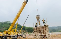 坚守岗位促进度