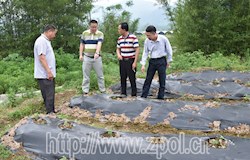 努力促进村级集体经济新发展