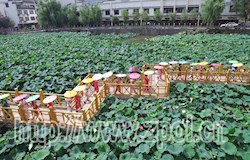 南池荷雨上演精美旗袍秀