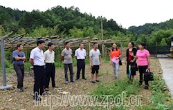 市人大调研组到我县专题调研推进精准扶贫工作