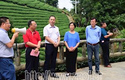 市政协委员视察团到我县视察农业科技园区建设情况