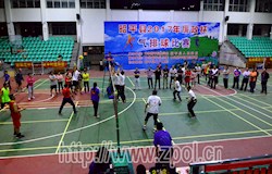 我县2017年廉政杯气排球赛落下帷幕