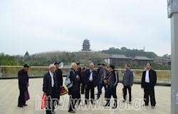 我县开展离退休干部“喜看贺州新变化”主题活动