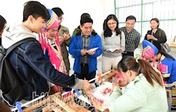 中央及自治区主流媒体到我县开展采访活动