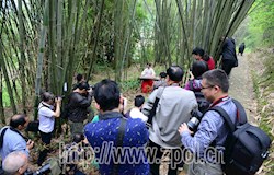 交流摄影心得 共谋摄协发展