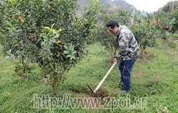 【走转改系列报道】面对困境不屈不挠 孝子用勤劳双手撑起一个家