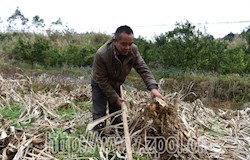 【走转改系列报道】 我要为脱贫攻坚事业贡献文艺力量