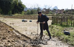 【走转改系列报道】黎念图：昔日抗洪英雄 如今脱贫先锋