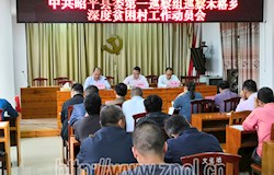 中共昭平县委第一巡察组巡察县木格乡党委工作动员会召开