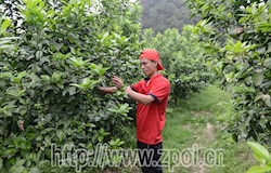 【走转改系列报道】从“门外汉”到“内行人” 从贫困户变成致富带头人