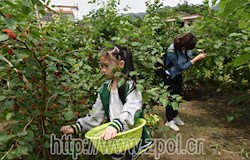 我县乡村旅游成小长假出行热点