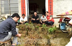 【第一书记】沉下身子让瑶山人民过上幸福的日子