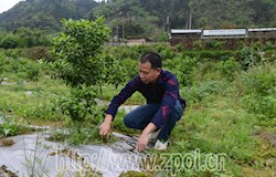 【走转改系列报道】勤劳肯干奔小康