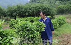 【走转改系列报道】多方发展 斩断穷根