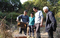 【走转改系列报道】蜂蜜丰收时 蜂农收蜜忙