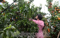 防疫生产两不误