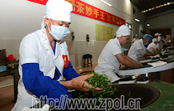 昭平茶王节简介