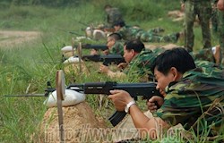 昭平县领导体验“军事日”活动