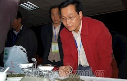 茶王节比赛之八： 民间斗茶决优胜