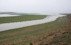 我市水库有效蓄水量较往年偏少五成