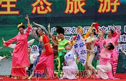 2010广西昭平茶王节暨生态旅游文化节剪影之文艺演出篇