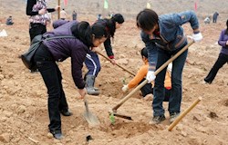 9万干群齐心修水利栽新绿