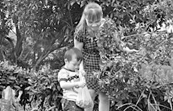 游生态美景　享鲜果美味