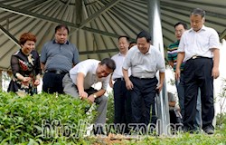 发展生态农业旅游 推进精准扶贫工作