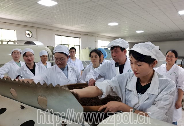 广西红茶茶叶加工提升培训班在我县举办