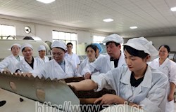 【决战决胜走基层 总攻之势大采访】争当脱贫攻坚“明白人” 回顾脱贫攻坚历程