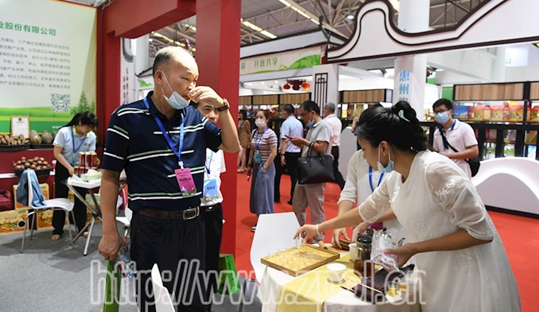 昭平茶飘香广州农交会