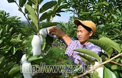 【走转改系列报道】特中选优 优中做强