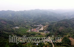 【脱贫感党恩 奋进新起点】五将镇大坪村：“三驾马车”走出了乡村振兴路