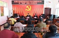 县委书记刘飞国到木格乡调研督导2021年村“两委”换届工作