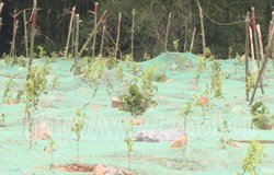 【中央生态环境保护督察在广西——昭平整改进行时】文竹镇污水处理厂整改工作已基本完成