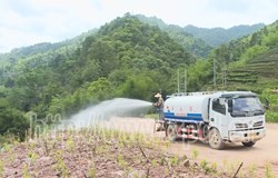 【中央生态环境保护督察在广西——昭平整改进行时】文竹至仙回二级公路污染问题整改成效显著