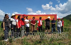 县茶叶办开展“建党百年　人才献礼”茶叶科技下乡面对面志愿服务活动