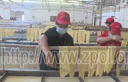 【寻红色印记 展人才风采】建功新时代　巾帼竞风流