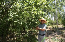 【寻红色印记 展人才风采】退役军人谢珺回乡创业变身致富带头人