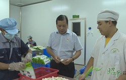 【寻红色印记　展人才风采】坚守为民情怀　凝心聚力做强中医药康养产业