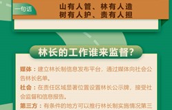 林长来了！一图读懂这个新职务（图解）