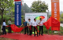 支持退役军人就业创业 纾困中小企业融资难