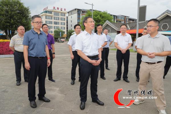 贺州市委书记李杰云在爱莲湖公园调研。.jpg
