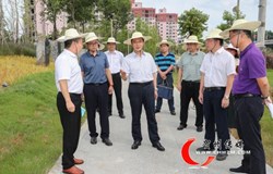 贺州市委书记李杰云调研国家园林城市创建工作