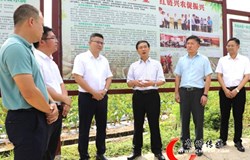 贺州市委书记李杰云到富川调研乡村振兴、东西部协作等工作